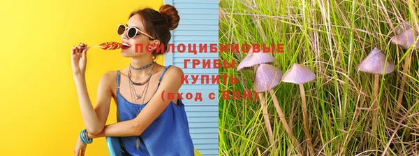 эйфоретик Дмитриев