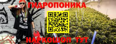гидра Гусев