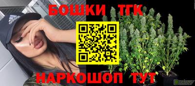 гидра Гусев