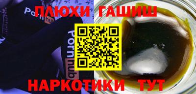гидра Гусев