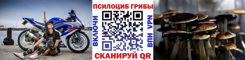 Галлюциногенные грибы мицелий  сайты даркнета состав  Ивантеевка 